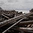 LaPush WA, 2011